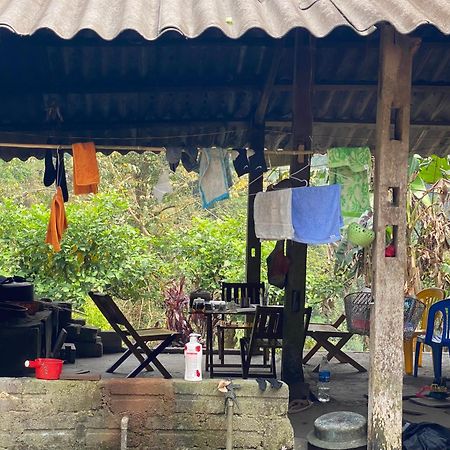 Bikki'S Jungle Homestay Хазянг Екстер'єр фото