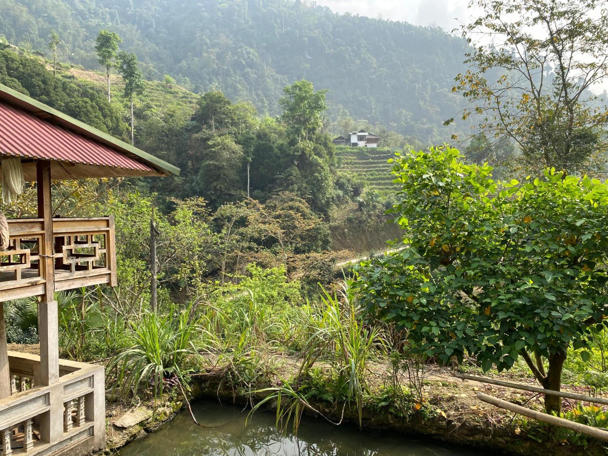 Bikki'S Jungle Homestay Хазянг Екстер'єр фото
