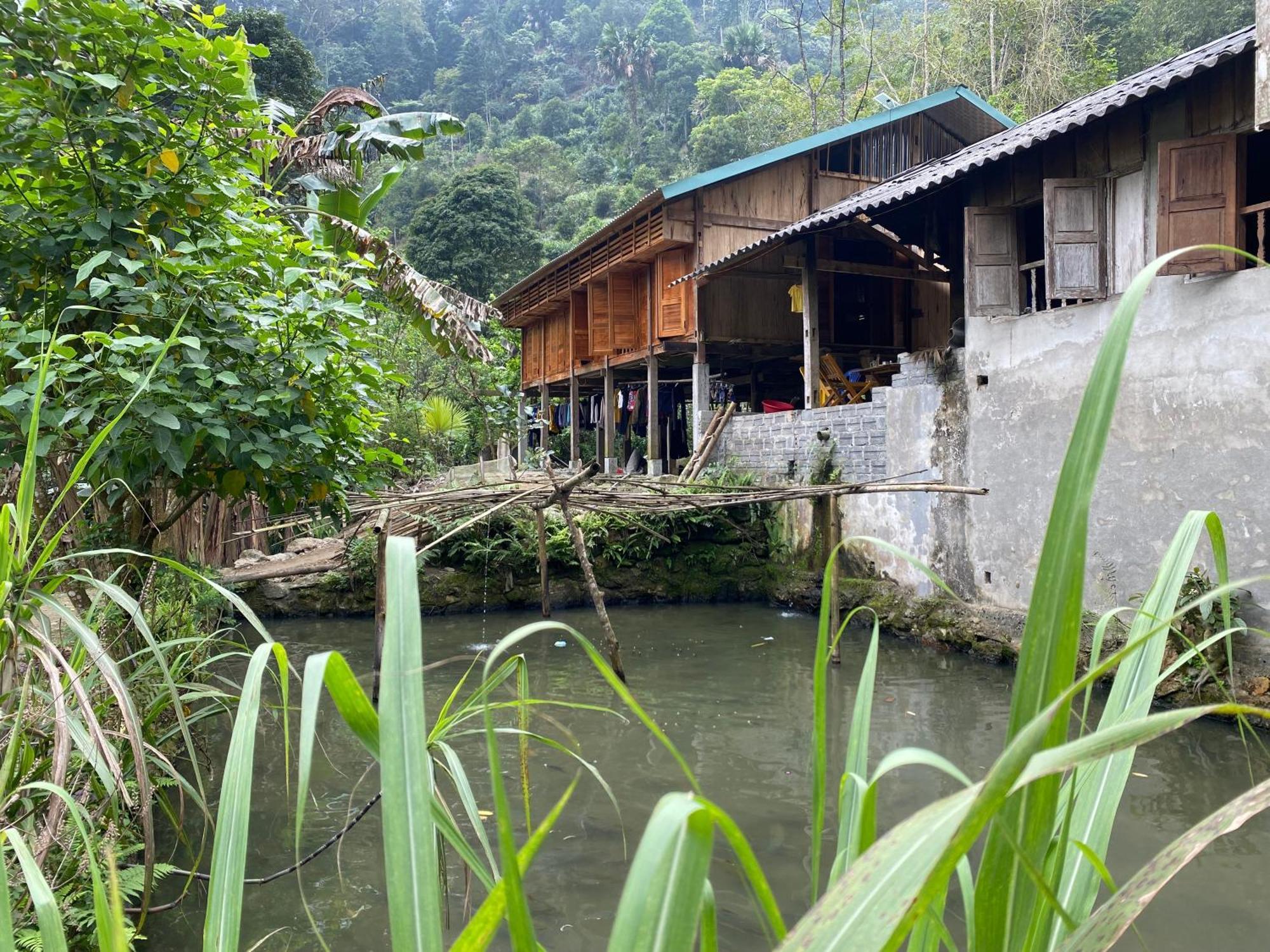 Bikki'S Jungle Homestay Хазянг Екстер'єр фото